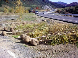 Vigilancia Ambiental