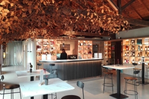 BODEGAS
