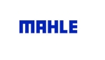 Mahle