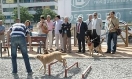 Un parque para perros se inaugura en Granada