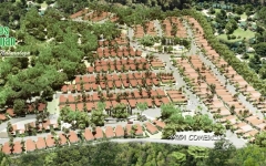 Panorámica