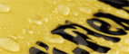 POLIFLEX NYLON