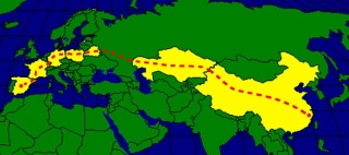 Primer viaje del tren de mercancías directo China – España