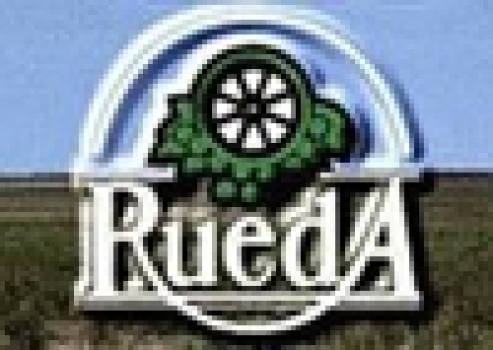 Verdejo de Rueda o Verdejo de Castilla.