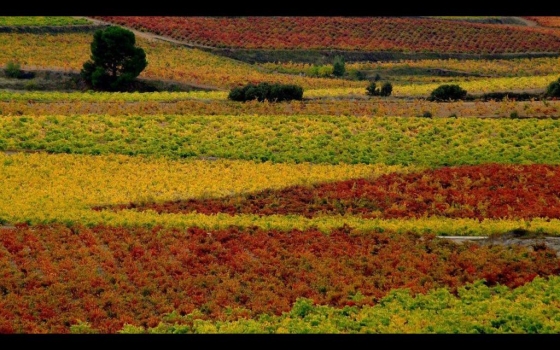 El potencial de una tierra única, la Toscana Valenciana