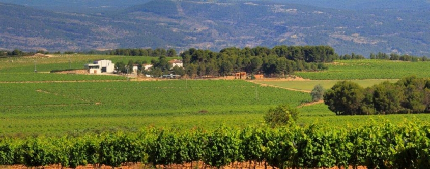 Bodegas Los Frailes: el carácter de una tierra virgen entregada al vino