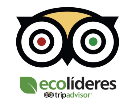 ECOLÍDER Platino en TripAdvisor: un extra que marca la diferencia