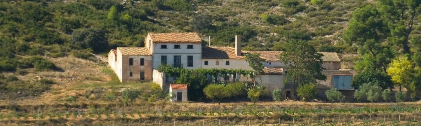 El enoturismo ecológico de Bodegas Enguera