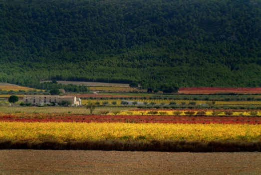 Modernidad y calidad, el sello de las Bodegas Daniel Belda