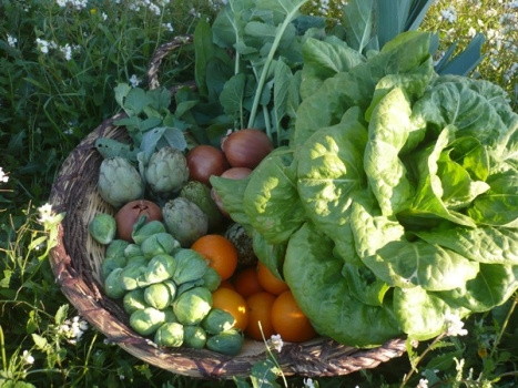 Entra en la cocina ecológica de la Finca San Agustín