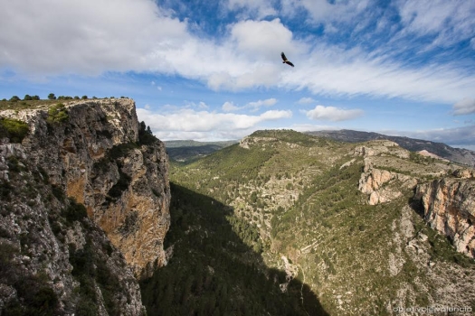 Flora y fauna en la tierra de la Finca San Agustín