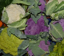 Coliflores