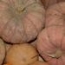 Calabaza de asar