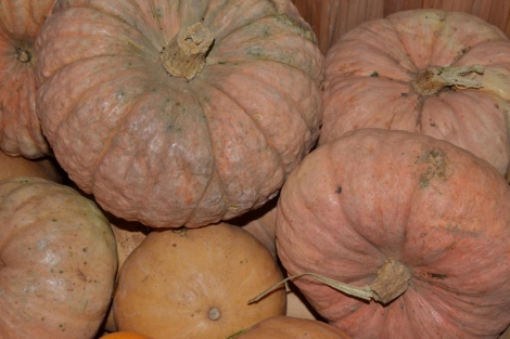 Calabaza de asar