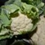 Coliflor Blanca