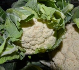 Coliflor Blanca