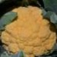 Coliflor Naranja