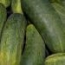 Pepino Corto