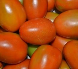 Tomate de pera