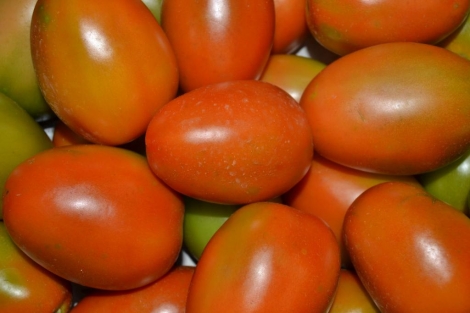 Tomate de pera