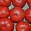 Tomate Rosa