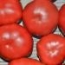Tomate Rosa