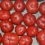 Tomate Rosa