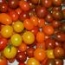 Tomate cherry