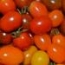 Tomate cherry