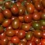 Tomate cherry