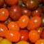 Tomate cherry