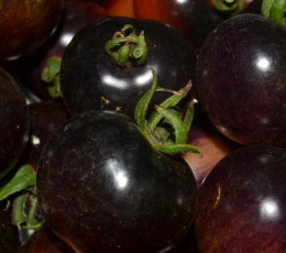 Tomate Azul