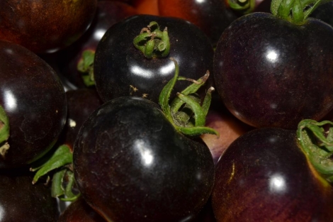 Tomate Azul