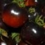 Tomate Azul