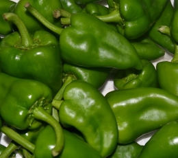 Pimientos