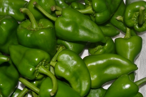 Pimiento Piquillo