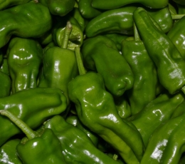Pimiento Padrón dulce