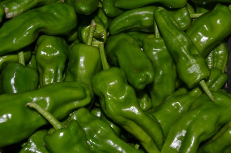 Pimiento Padrón dulce