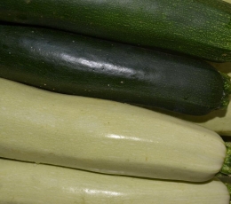 Calabacines