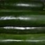 Calabacín Verde