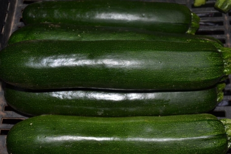 Calabacín Verde
