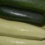 Calabacín Verde