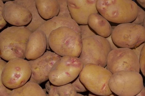 Patata Picasso