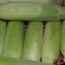 Mazorcas