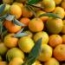 Naranja clemenules
