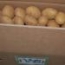 Patata caja