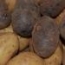 Patata variedad
