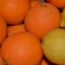 Naranjas y limones