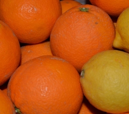 Naranjas y limones