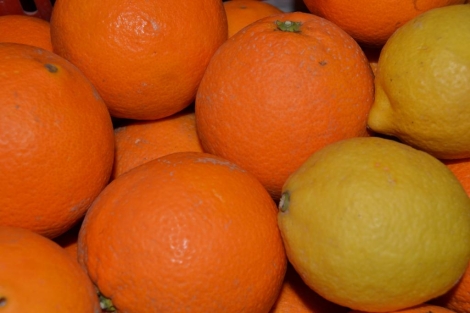 Naranjas y limones